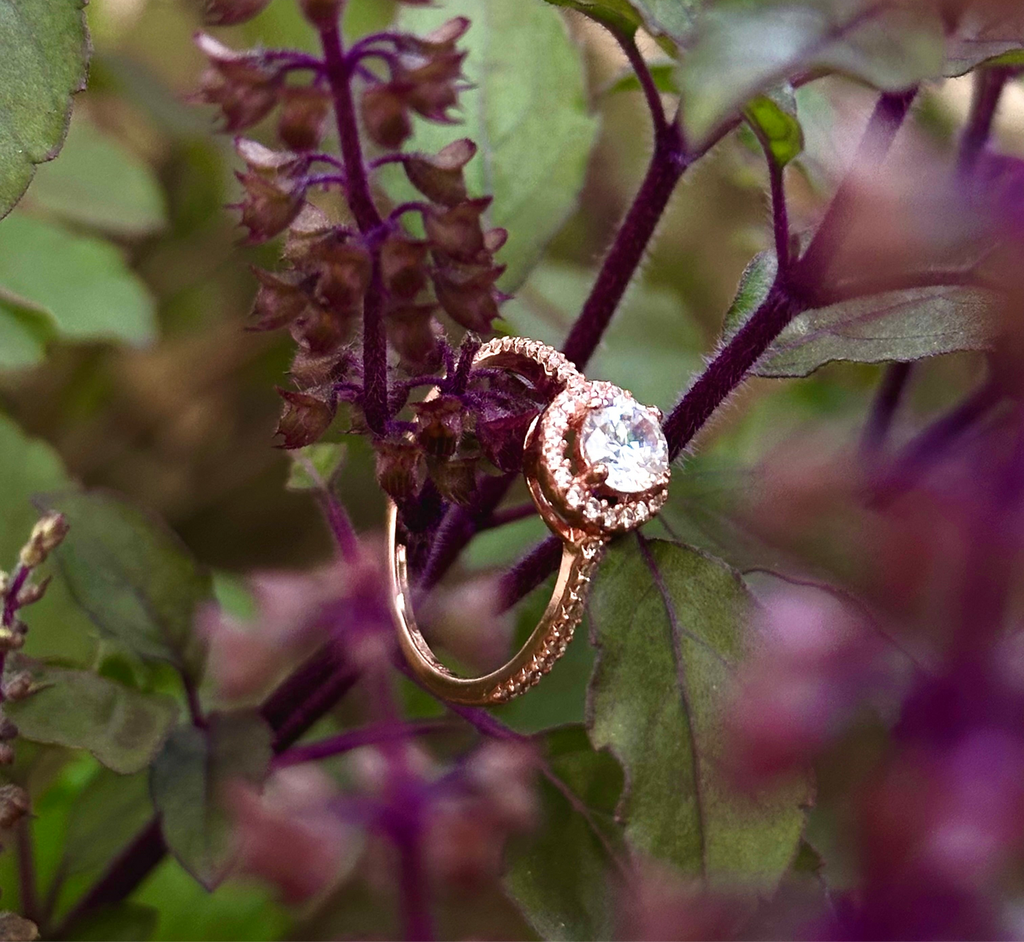 Rose gold silver ring